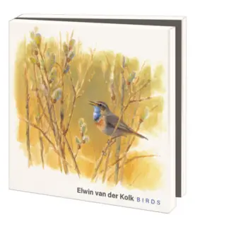 Bekking&Blitz (museum)kaartjes vierkant: Wadvogels, Elwin van der Kolk, Vogelbescherming