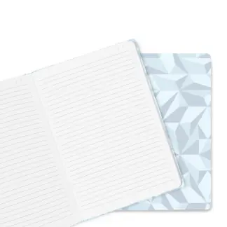 Caran d'Ache S.E. Alpine Frost Notebook