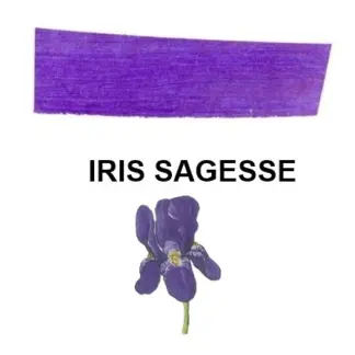 Herbin D-Inktpot Iris Sagesse