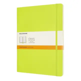 Moleskine Ruled Notebook Large softcover Light Green