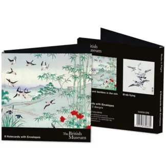 Museum&Galleries Notecards Birds in Flight