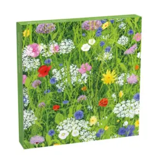 Museum&Galleries Notecards Wild Flower Garden by Josephine Simon