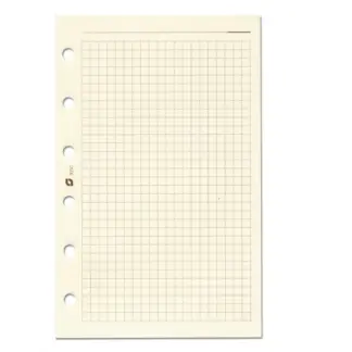 Succes A5/Executive Notitiepapier Crème geruit