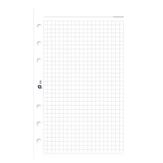 Succes Standard Notitiepapier Wit geruit