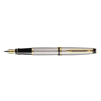 Waterman Expert Stainless Steel GT vulpen
